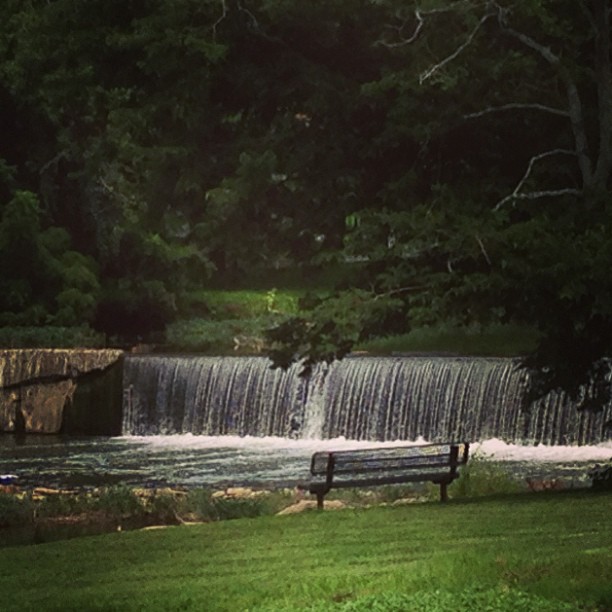 Instagram Image
