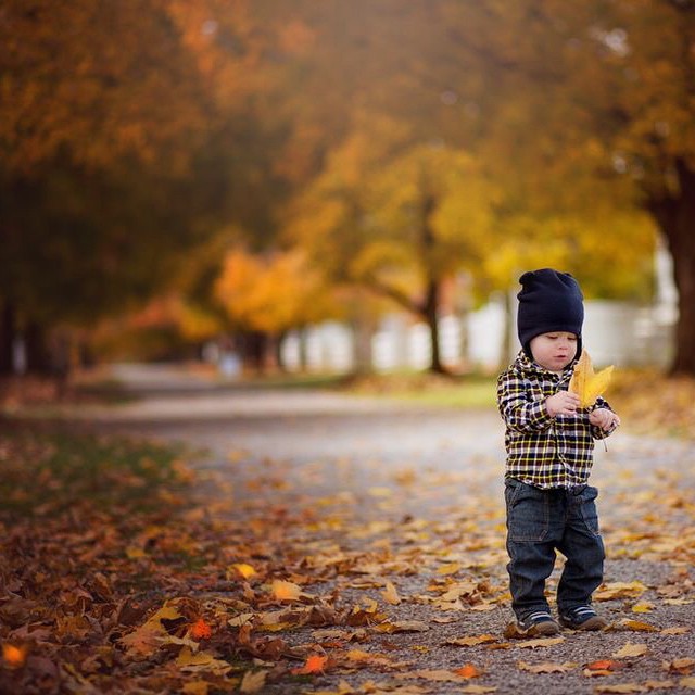 Love this one from this weekend @shakervillageky